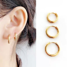 Load image into Gallery viewer, Fashion Line Earrings Earrings For Men And Women
