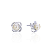 Load image into Gallery viewer, Earring Set Ladies Korean Temperament Earrings Earrings Jewelry
