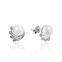 Load image into Gallery viewer, Earring Set Ladies Korean Temperament Earrings Earrings Jewelry
